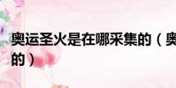 奧運圣火是在哪采集的(奧運圣火是怎么采集的)