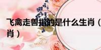 飛禽走獸指的是什么生肖(飛禽走獸是什么生肖)