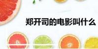 鄭開司的電影叫什么(鄭開司)