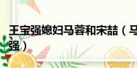 王寶強媳婦馬蓉和宋喆(馬蓉為什么嫁給王寶強)