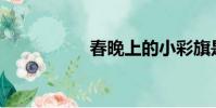 春晚上的小彩旗是誰?