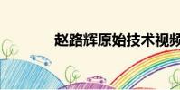 趙路輝原始技術視頻(趙路)