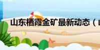 山東棲霞金礦最新動態(山東棲霞金礦)