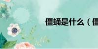 僵蛹是什么(僵蛹)