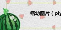 痞幼圖片(piyo)