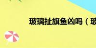 玻璃扯旗魚兇嗎(玻璃扯旗)