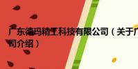 廣東德瑪精工科技有限公司(關于廣東德瑪精工科技有限公司介紹)