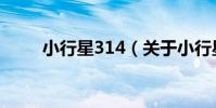小行星314(關于小行星314簡介)