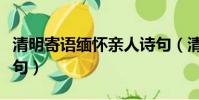清明寄語緬懷親人詩句(清明寄語緬懷親人詩句)
