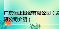 廣東恒正投資有限公司(關于廣東恒正投資有限公司介紹)