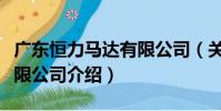 廣東恒力馬達有限公司(關于廣東恒力馬達有限公司介紹)