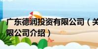 廣東德潤投資有限公司(關于廣東德潤投資有限公司介紹)