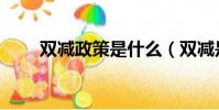 雙減政策是什么(雙減是什么意思)