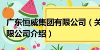 廣東恒威集團有限公司(關于廣東恒威集團有限公司介紹)