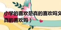 小學的喜歡是真的喜歡嗎文案(小學的喜歡是真的喜歡嗎)