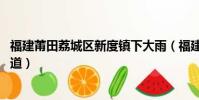 福建莆田荔城區新度鎮下大雨(福建莆田突降大雨 街道成河道)