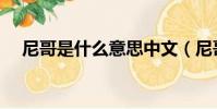 尼哥是什么意思中文(尼哥是什么意思)