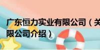 廣東恒力實業有限公司(關于廣東恒力實業有限公司介紹)
