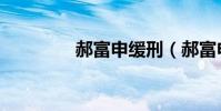 郝富申緩刑(郝富申道歉)