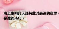 海上生明月天涯共此時表達的意思(海上生明月天涯共此時是誰的詩句)