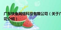 廣東快魚網絡科技有限公司(關于廣東快魚網絡科技有限公司介紹)