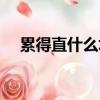 累得直什么填空成語（累得直什么填空）