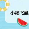 小褐飛虱屬（關于小褐飛虱屬簡介）