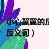 小心翼翼的反義詞是落落大方嗎（小心翼翼的反義詞）