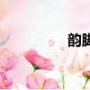 韻腳詞匯（韻腳是什么）