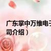 廣東掌中萬維電子有限公司（關于廣東掌中萬維電子有限公司介紹）