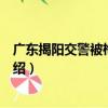 廣東揭陽交警被槍殺事件（關于廣東揭陽交警被槍殺事件介紹）