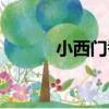 小西門巷（關于小西門巷簡介）