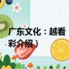 廣東文化：越看“粵”精彩（關于廣東文化：越看“粵”精彩介紹）