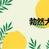 勃然大怒海克斯（勃然大怒）