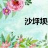 沙坪壩美食團購（沙坪壩美食）