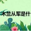 木蘭從軍是什么意思（木蘭從軍是什么生肖）