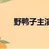 野鴨子主演曹曦文資料（野鴨子主演）