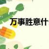 萬事勝意什么意思（萬事勝意什么意思）