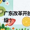 廣東改革開放探索（關于廣東改革開放探索介紹）