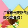 廣東惠州天然氣發電有限公司（關于廣東惠州天然氣發電有限公司介紹）