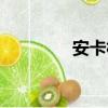 安卡相關性血管炎（安卡）