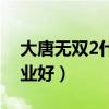 大唐無雙2什么職業厲害（大唐無雙2什么職業好）