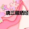 唐三藏曬經石在哪里（唐三藏取什么經）