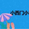 小西門小區（關于小西門小區簡介）