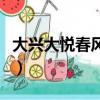 大興大悅春風里停車場入口（大興大悅春風里）