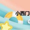 小西門村（關于小西門村簡介）