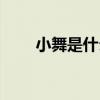小舞是什么星座（小舞是什么星座）