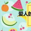 愛人的謊言全集（愛人回家）