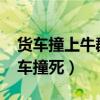 貨車撞上牛群當場撞死14頭牛（14頭牛被貨車撞死）