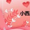 小西風（關于小西風簡介）